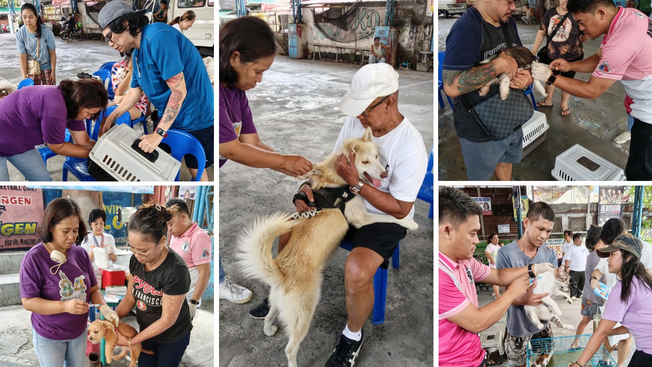 Anti Rabies Vaccination